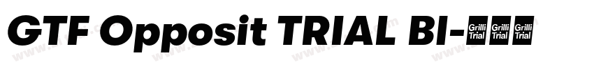 GTF Opposit TRIAL Bl字体转换